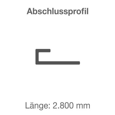 Skizze Abschluss Profilschiene für Duschrückwand Alu silbermatt
