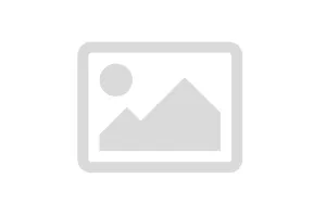 Dummyartikel für Positionen ohne Steuersatz